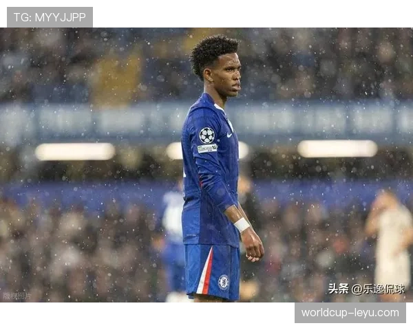 联赛新星评选：年轻球员表现稳健，竞争力持续提升