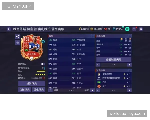 维尼修斯个人数据与荣誉匹配度分析：是否达到顶级球星标准