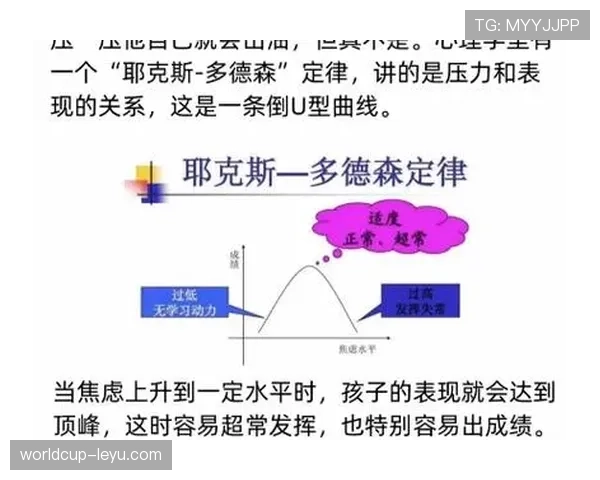 杜埃高开低走？新星持续性与成长曲线解析