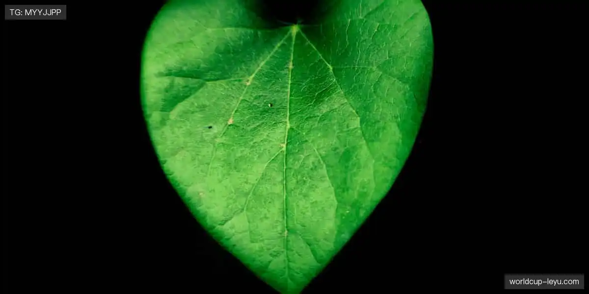 👟 个性定制，你的运动风格由我定义！